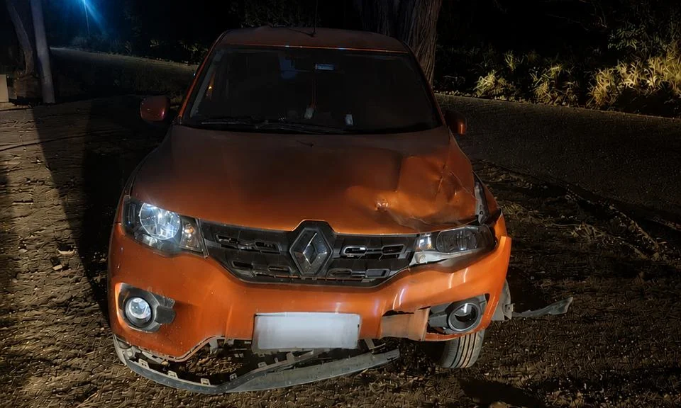 sandero